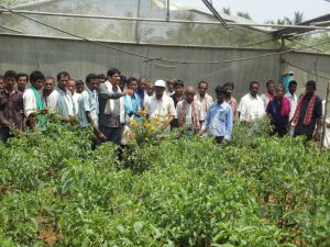 DSC09173-1-300x225-1