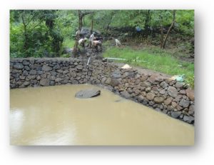 Picture1-1-300x231-1