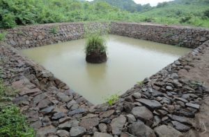 Picture4-1-300x196-1