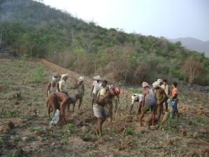 photos-for-web-18-300x225-1