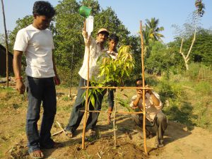 photos-for-web-19-1-300x225-1