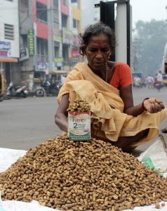 photos-for-web-23-238x300-1