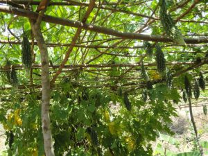 photos-for-web-3-300x225-1