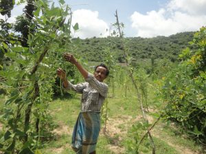 photos-for-web-4-1-300x225-1